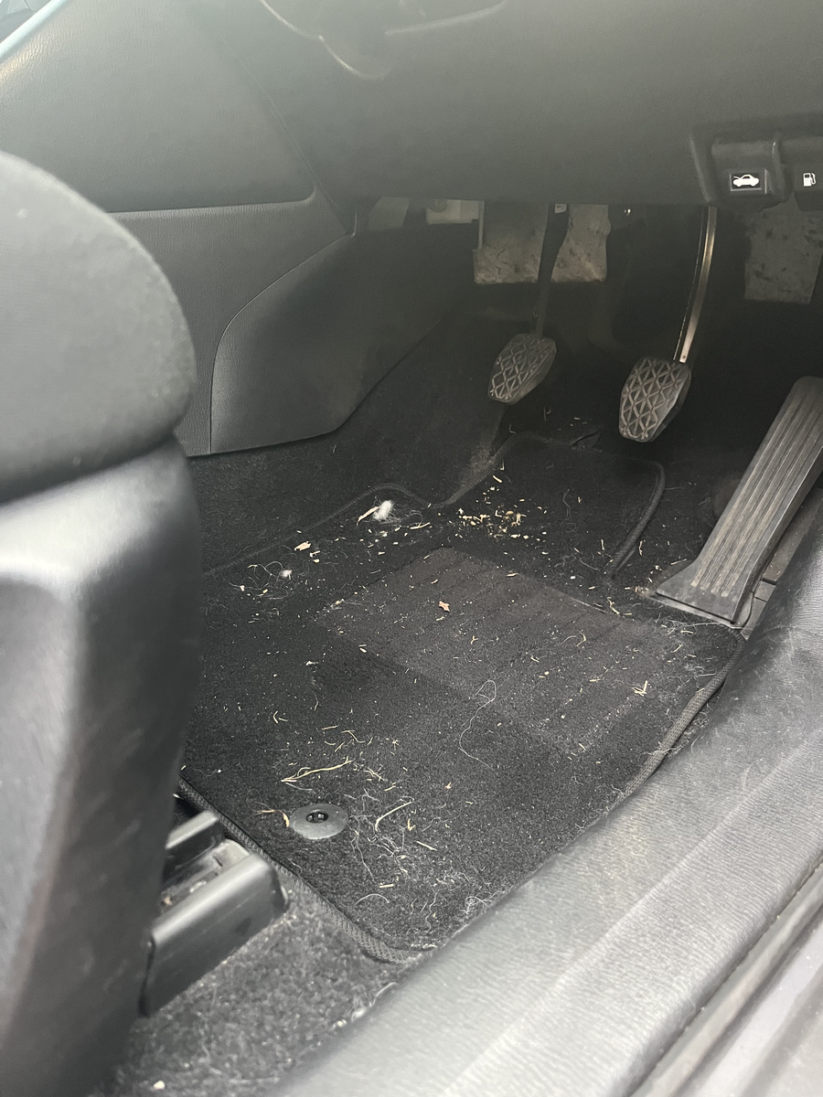 Before interior detailing